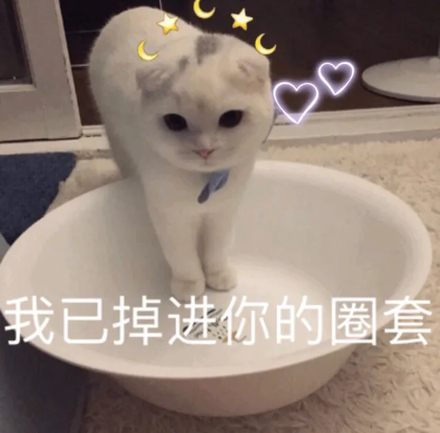 我已经掉进你的圈套