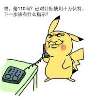 喂，是110吗？已对目标使用十万伏特，下一步该有什么指示？（喂，是110吗？已对目标使用十万伏特，下一步该有什么指示？）