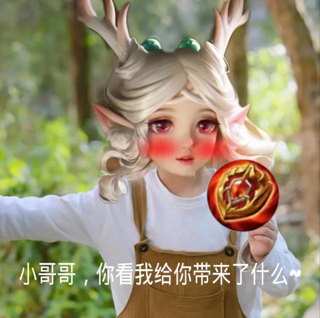 小哥哥,你看我给你带来了什么（小哥哥,你看我给你带来了什么）