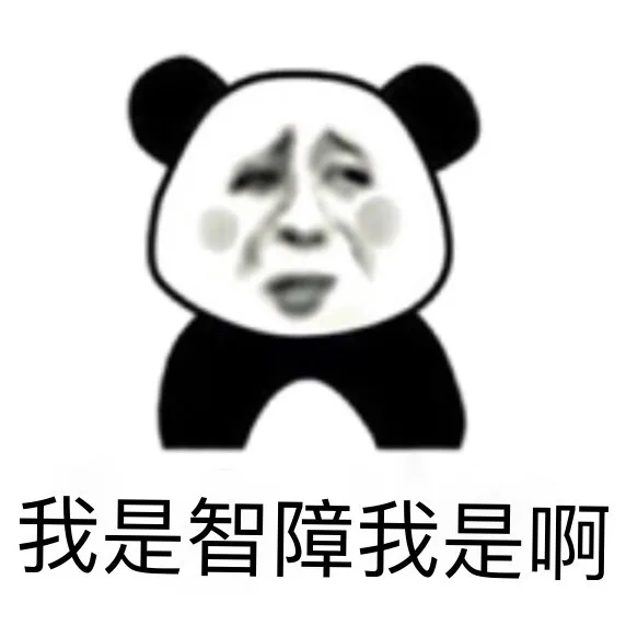 我是智障我是啊