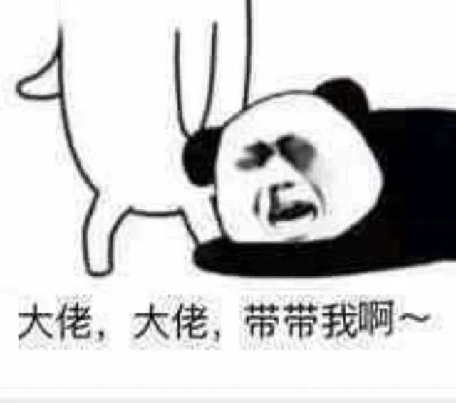 大佬，大佬，带带我啊~（大佬，大佬，带带我啊~）