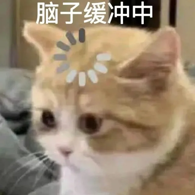 脑子缓冲中(猫猫表情包)（脑子缓冲中(猫猫表情包)）