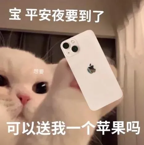 宝平安夜要到了想要可以送我一个苹果吗（宝平安夜要到了想要可以送我一个苹果吗）
