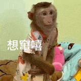 想窜嘻(吗喽表情包)（想窜嘻(吗喽表情包)）