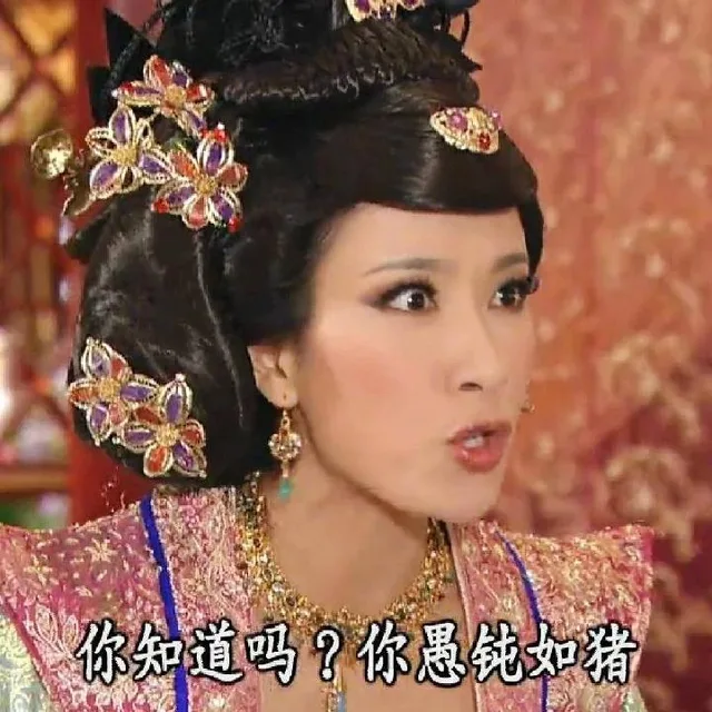 你知道吗?你愚钝如猪（你知道吗?你愚钝如猪）