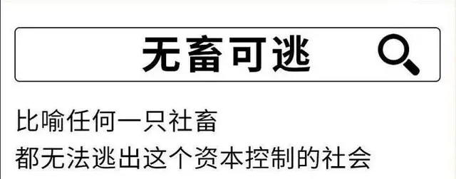 无畜可逃比喻任何一只社畜都无法逃出这个资本控制的社会（无畜可逃比喻任何一只社畜都无法逃出这个资本控制的社会）