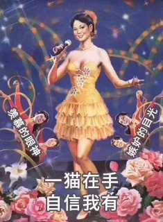 一猫在手 自信我有