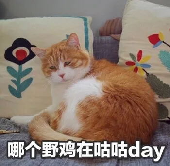 哪个野鸡在咕咕day（哪个野鸡在咕咕day）