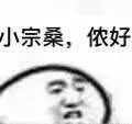 小宗桑,侬好
