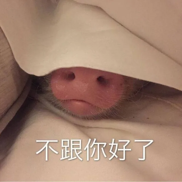 不跟你好了，藏起来不让你看见（不跟你好了，藏起来不让你看见）