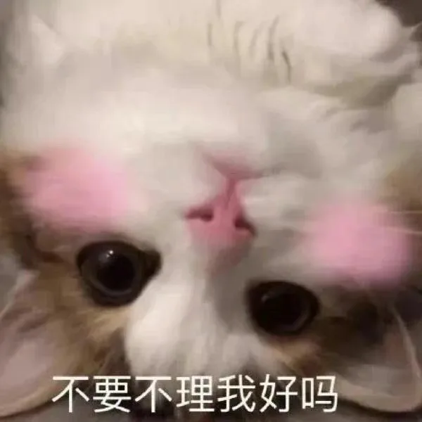不要不理我好吗（不要不理我好吗）