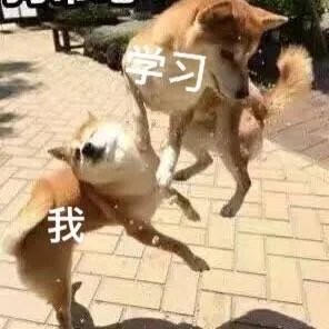 学习 VS 我