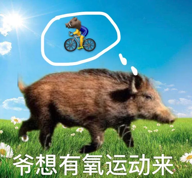 爷想有氧运动来（爷想有氧运动来）