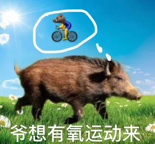 爷想有氧运动来