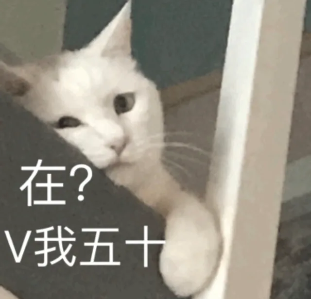在?V我五十（在?V我五十）
