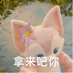 拿来吧你