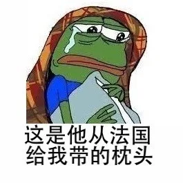 这是他从法国给我带的枕头