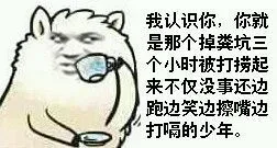 我认识你，你就是那个掉粪坑三个小时被打捞起来不仅没事还边跑边擦嘴边打嗝的少年。