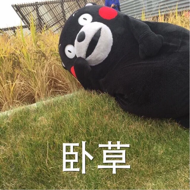 握草