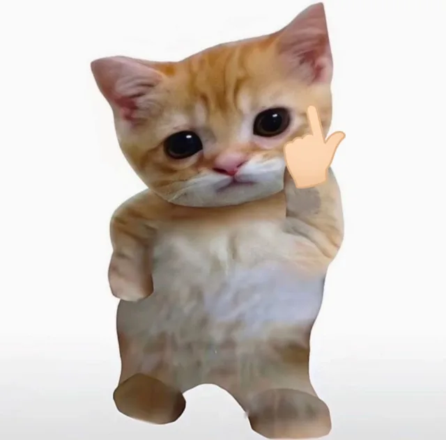 小猫咪自拍表情包