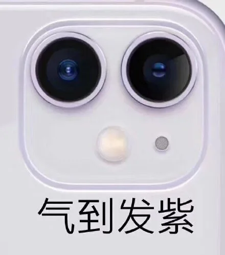 气到发紫（iPhone11摄像头表情包）