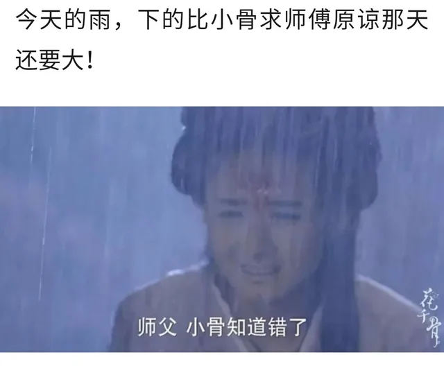 今天的雨,下的比小骨求师傅原谅那天还要大!师父小骨知道错了花