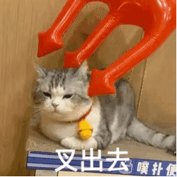 叉出去 猫咪表情包（孙一宁王思聪聊天表情包）