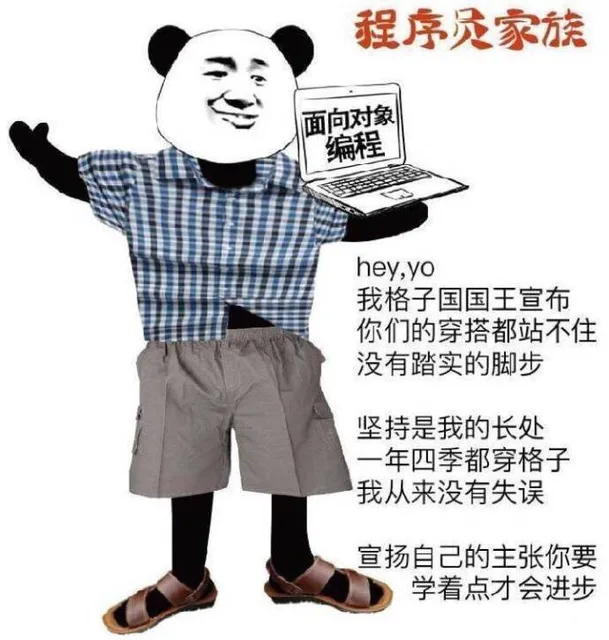程序员家族：hey,yo,我格子国国王宣布，你们的搭配都站不住，没有踏实的脚步，坚持是我的长处，一年四季都穿格子，我从来没有失误，宣扬自己的主张你要学着点才会进步