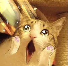 哇，帅哥。。。