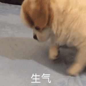 生气（生气）