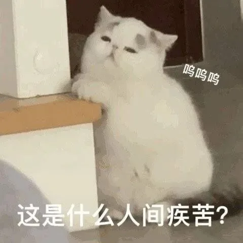 呜呜呜这是什么人间疾苦?（呜呜呜这是什么人间疾苦?）