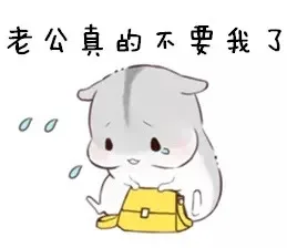 老公真的不要我了（老公真的不要我了）