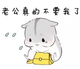 老公真的不要我了