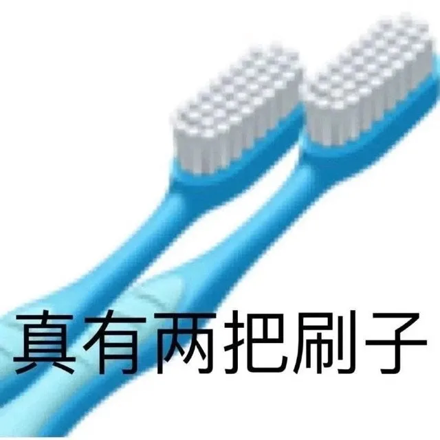 真有两把刷子（真有两把刷子）