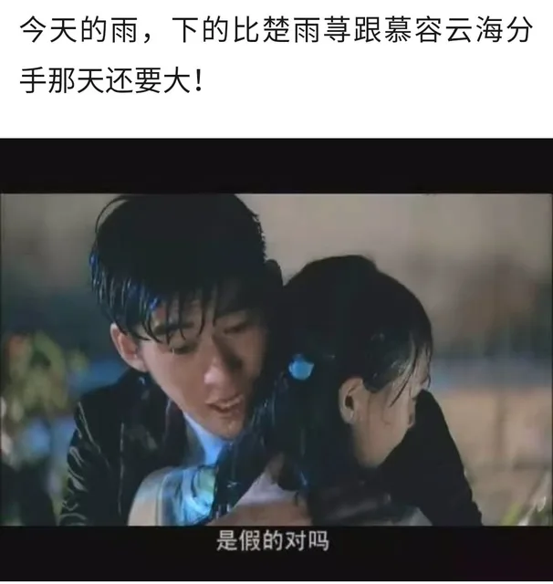 今天的雨,下的比楚雨荨跟慕容云海分手那天还要大!是假的对吗
