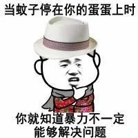 当蚊子停在你蛋蛋上时，你就知道暴力不一定能够解决问题（当蚊子停在你蛋蛋上时，你就知道暴力不一定能够解决问题）