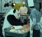 大熊猫捣蛋 GIF