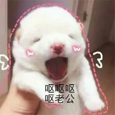 呕呕呕 呕老公