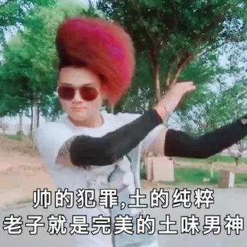 帅的犯罪，土的纯粹，老子就是完美的土味男神
