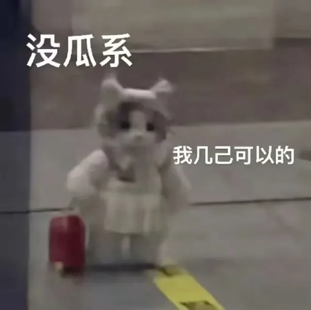 没瓜系我几己可以的（没瓜系我几己可以的）