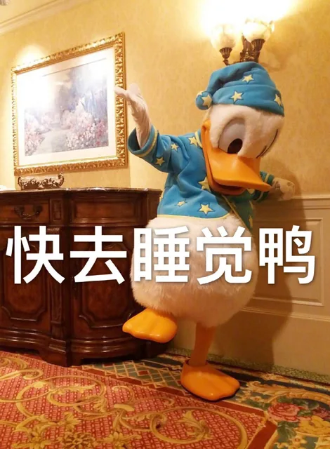 快去睡觉鸭（快去睡觉鸭）