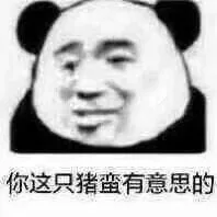 你这只猪蛮有意思的（你这只猪蛮有意思的）