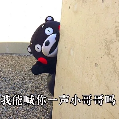 我能喊你一声小哥哥吗（我能喊你一声小哥哥吗）