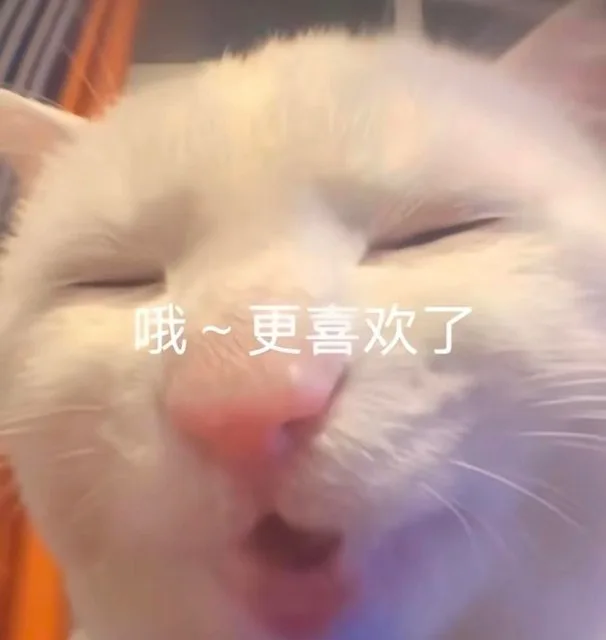 哦~更喜欢了（哦~更喜欢了）