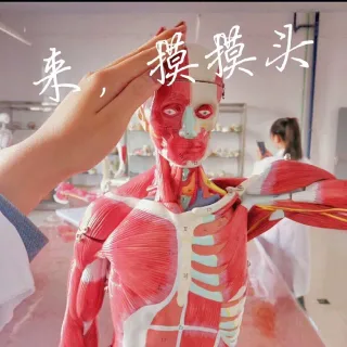 医学生用的表情包