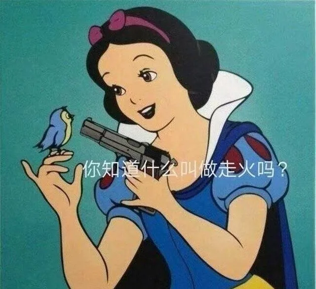 你知道什么叫做走火吗？（迪士尼公主表情包）（你知道什么叫做走火吗？（迪士尼公主表情包））