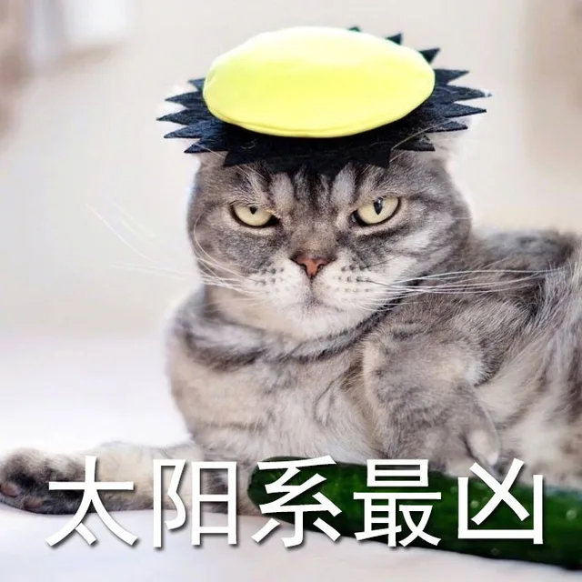 太阳系最凶（太阳系最凶）