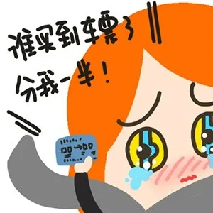 谁买到车票了，分我一半（谁买到车票了，分我一半）