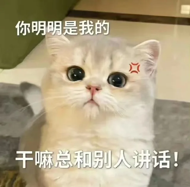 你明明是我的干嘛总和别人讲话！（你明明是我的干嘛总和别人讲话！）