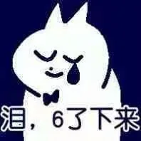 泪，6了下来（小蓝猫表情包）